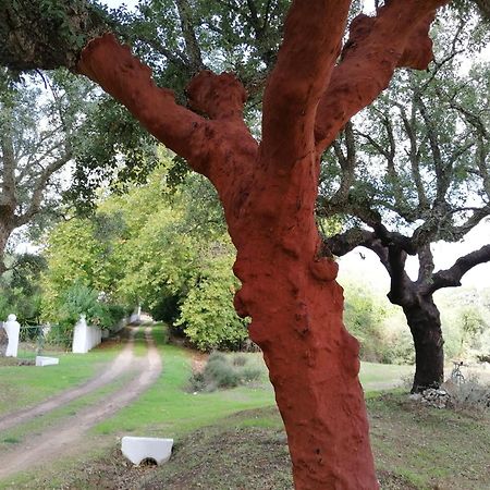 Monte Do Serrado De Baixo Evora Exterior photo