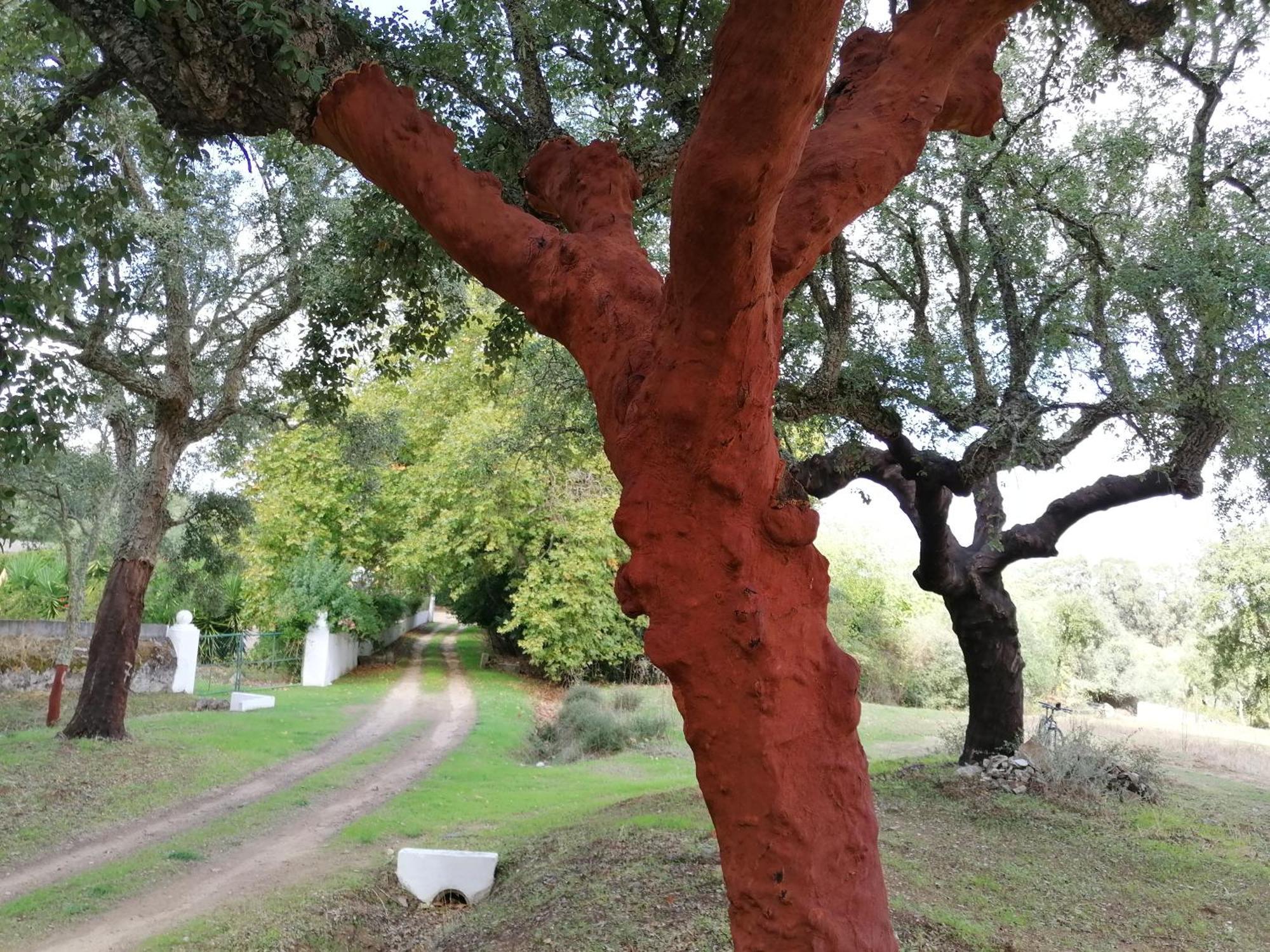 Monte Do Serrado De Baixo Evora Exterior photo